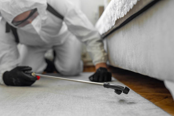 Professional Termite Control technician working in Florida, NY